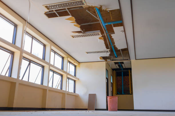 Best Mold removal after water damage  in Jasper, IN