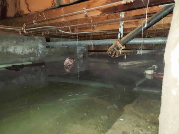 24/7 water damage repair in Jasper, IN