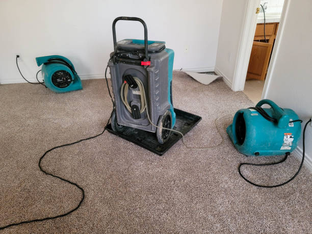 Trusted Jasper, IN Water damage restoration Experts