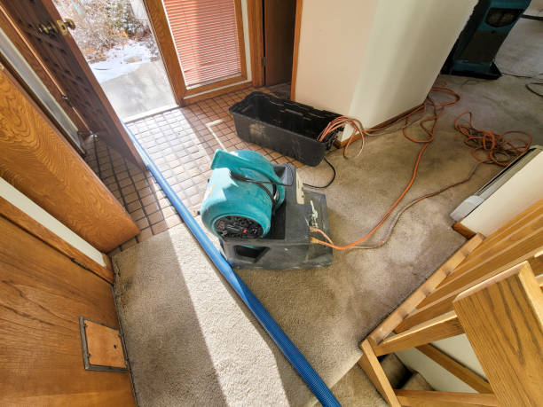 Best Flood damage cleanup  in Jasper, IN