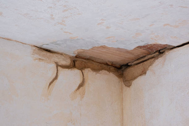 Best Sewage cleanup and water damage restoration  in Jasper, IN