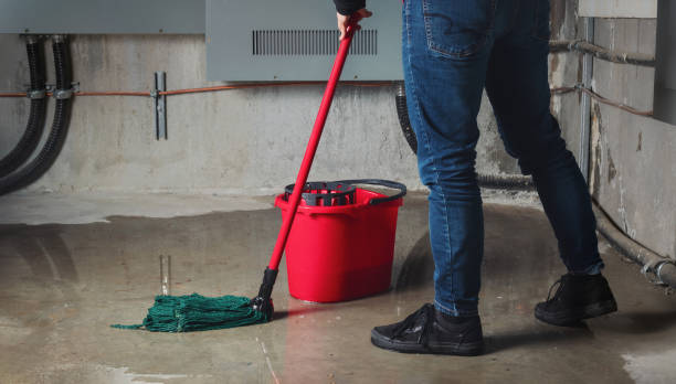 Best Water damage restoration specialists  in Jasper, IN