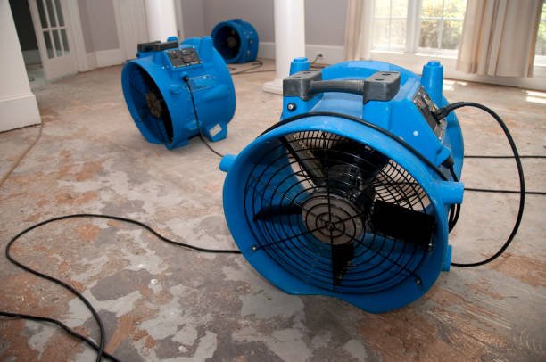 Best Flooded house restoration  in Jasper, IN
