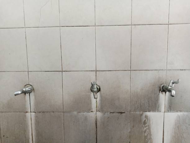 Best Residential water damage restoration  in Jasper, IN