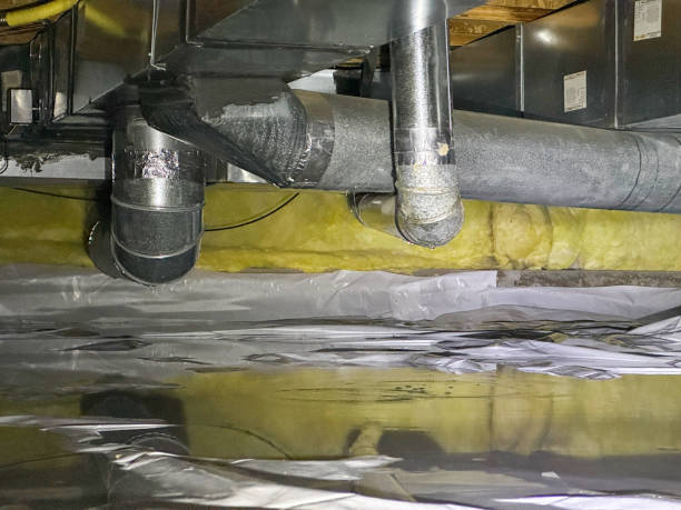 Best Basement water damage restoration  in Jasper, IN