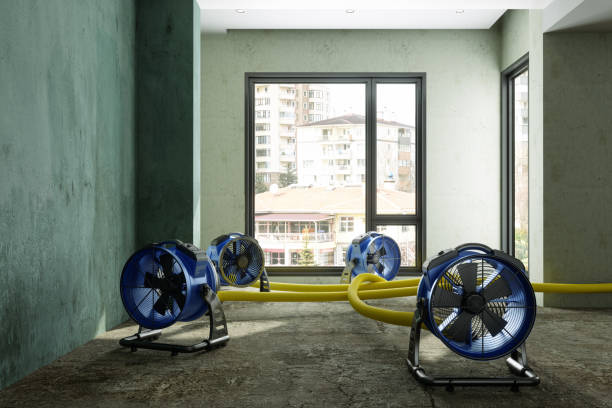Best Professional water damage repair  in Jasper, IN